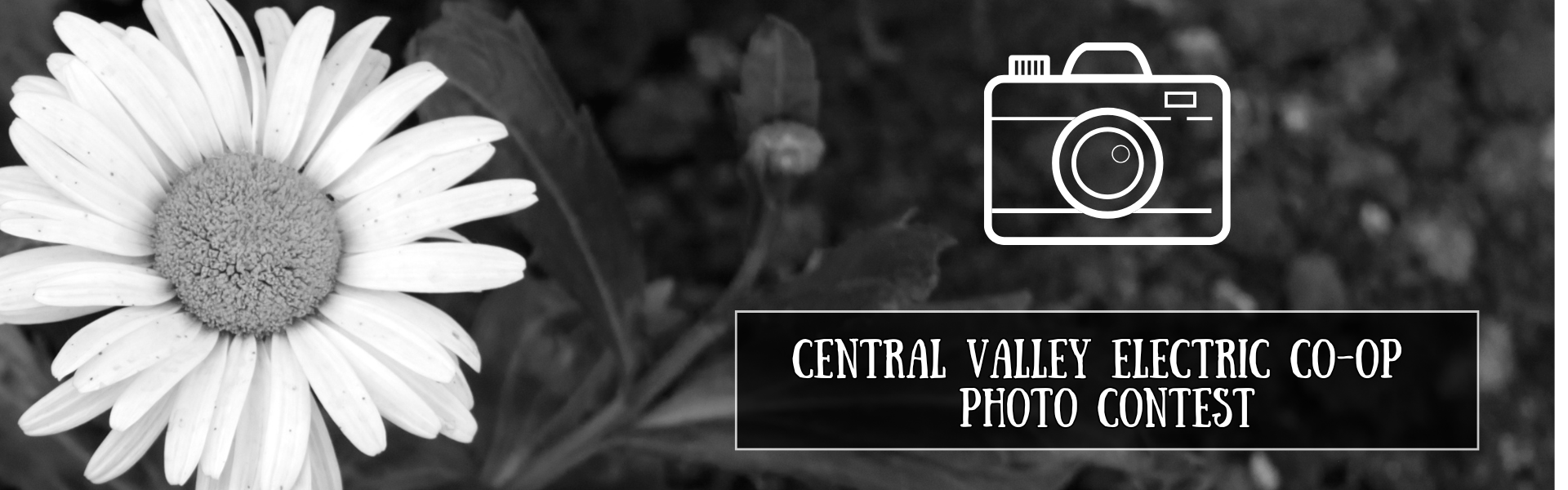 Photo Contest