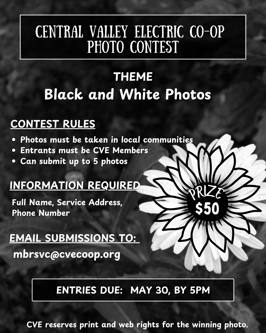 Photo Contest
