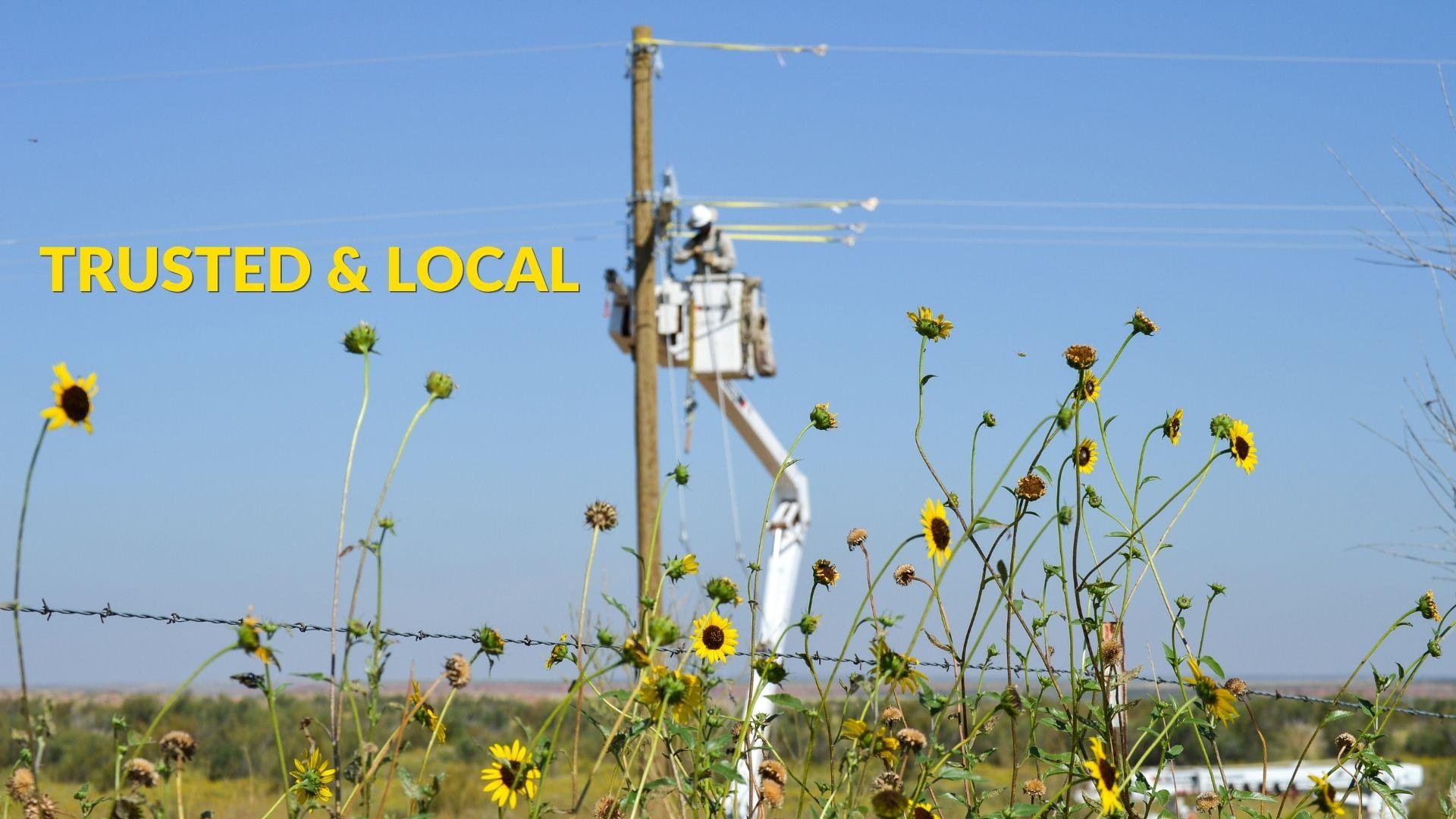 Trusted & Local