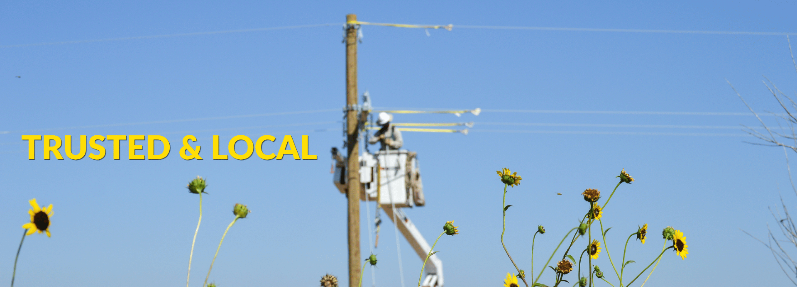 trusted and local